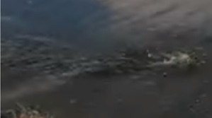 Screenshot_2016-07-01-03-34-19