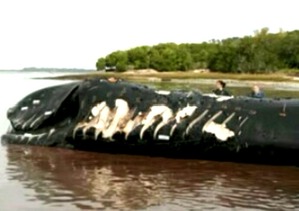 Screenshot_2016-03-04-16-22-02