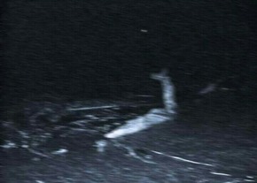 Screenshot_2015-12-21-13-35-11