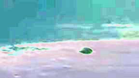 Effectplus_20151206_082906