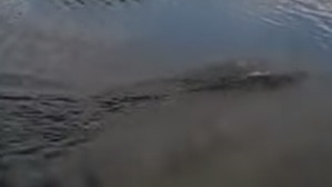 Screenshot_2016-07-01-03-39-14