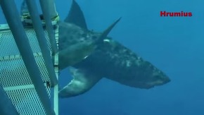 Screenshot_2015-12-22-18-28-04