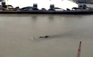 Screenshot_2016-04-01-12-04-52