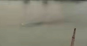 Screenshot_2016-04-01-12-02-38