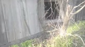 Screenshot_2016-01-25-02-58-33