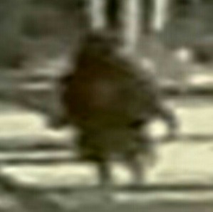 Screenshot_2016-06-24-08-20-36