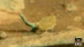 Screenshot_2015-10-31-10-10-41