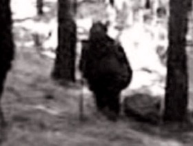 2b4263c5.jpg