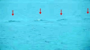 Screenshot_2016-06-28-21-11-19