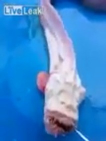 Screenshot_2016-04-30-08-08-03