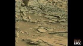 Screenshot_2015-10-31-10-11-13