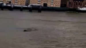 Screenshot_2016-04-12-22-28-38