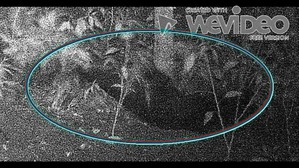Screenshot_2016-06-29-06-11-50