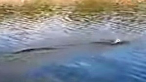 Effectplus_20160701_034503