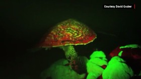 Screenshot_2015-11-02-09-06-03