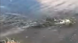 Effectplus_20160701_033445