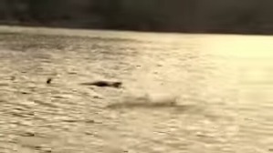 Screenshot_2016-04-10-14-48-23