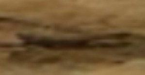 Screenshot_2016-03-26-02-48-28