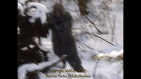 Screenshot_2015-11-29-05-17-09