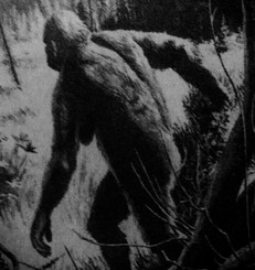 Screenshot_2016-01-31-10-01-53