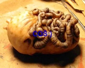 307eaeae.jpg