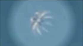 Effectplus_20151024_035519