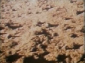 Screenshot_2015-10-12-10-22-38