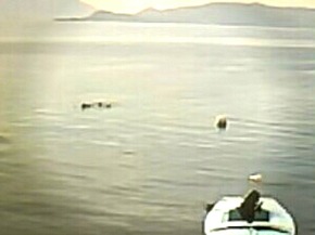 Screenshot_2015-12-01-10-10-45