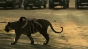 Screenshot_2015-12-14-21-29-11