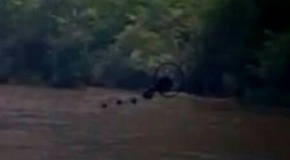 Screenshot_2015-12-04-21-18-46