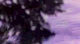 362cf779.jpg