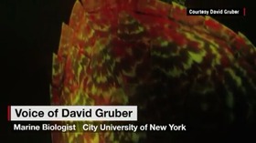 Screenshot_2015-11-02-09-04-17