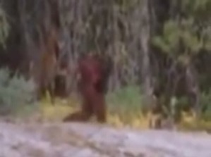 Screenshot_2016-03-17-07-06-09