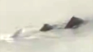 Screenshot_2016-06-25-07-28-34