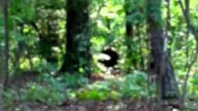 Screenshot_2015-11-29-04-33-41