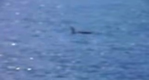 Screenshot_2016-05-27-09-13-20