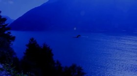 Screenshot_2015-11-20-16-12-45