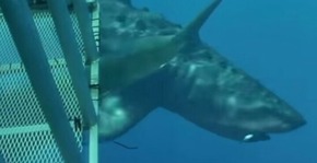 Screenshot_2015-12-22-18-33-00