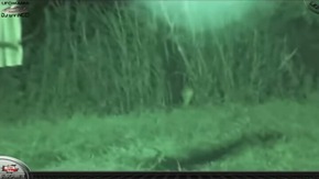 Screenshot_2015-12-07-11-49-54