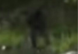 Screenshot_2016-03-13-10-49-49