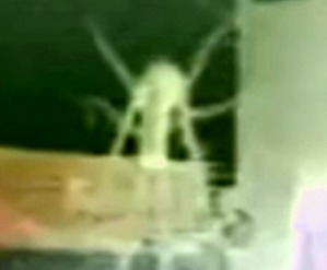 Effectplus_20160304_153527