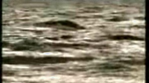 Effectplus_20160408_184631