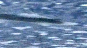 Effectplus_20160301_225303