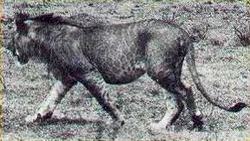 3be67651.jpg