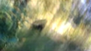 Screenshot_2016-03-19-00-52-09