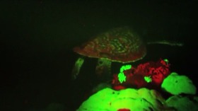 Screenshot_2015-11-02-09-05-16