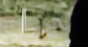 3cb2a23d.jpg