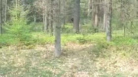 Screenshot_2015-11-18-09-57-19