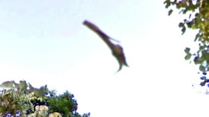 Screenshot_2016-02-19-15-32-04