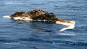 Screenshot_2015-10-26-00-47-08